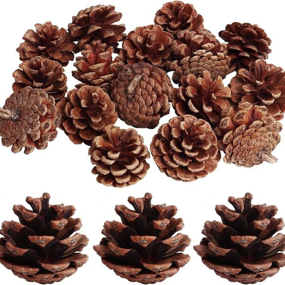 Other - 20 Pack 2.4 Inch Pinecones Bulk Package of Natural Pinecones Pine Cones for Craf
